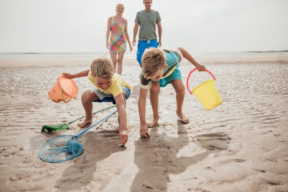 A family of four can be seen shelling on the Florida coast, equipped with the best tips included in this blog.