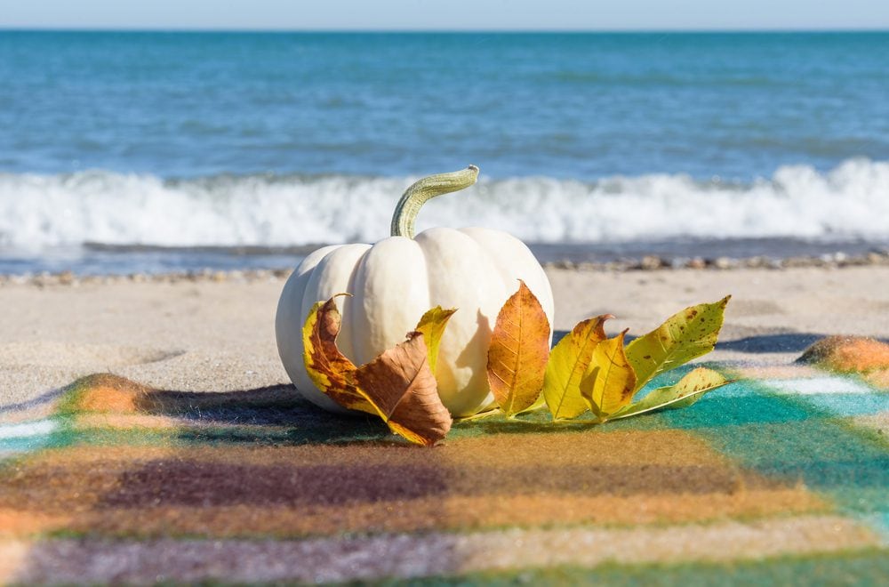 Florida Gulf Coast Festivals to celebrate the fall season!