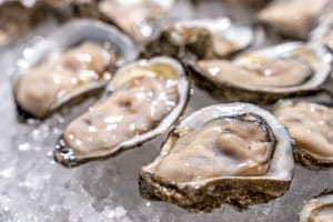 Oysters close up.